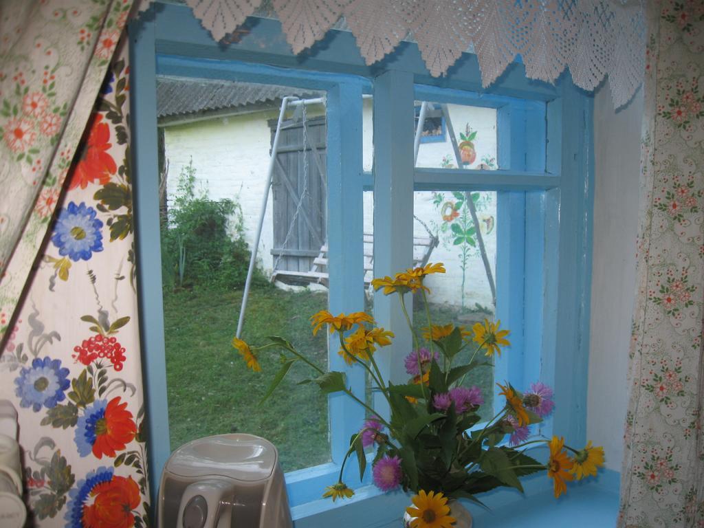 Dybintsy Maliovnytsya 게스트하우스 외부 사진